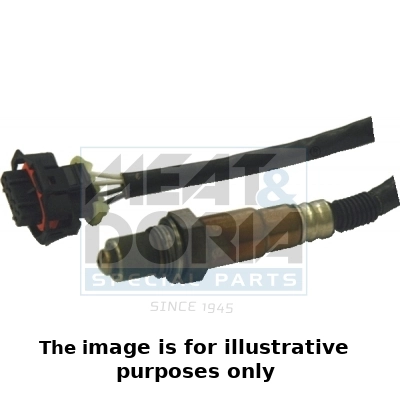 Oxygen Sensor